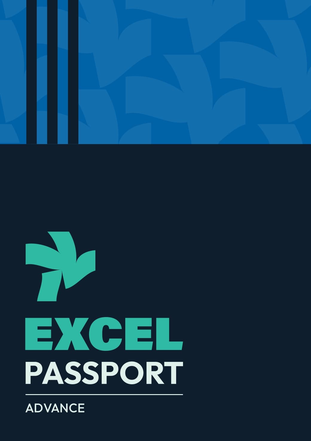 Excel Passport - Advance