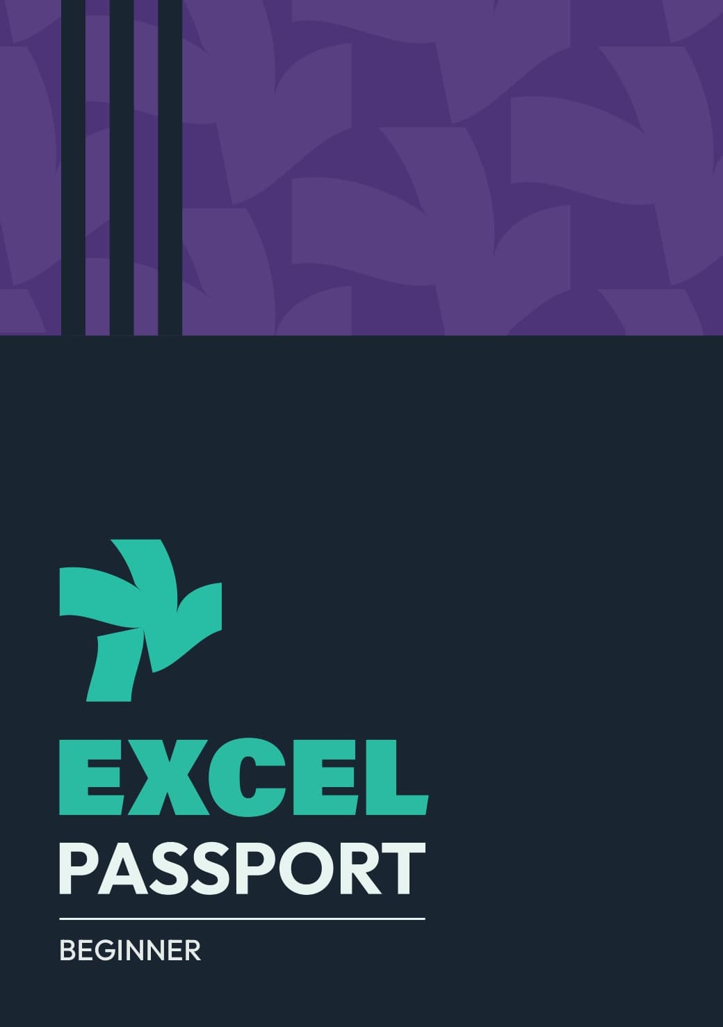 Excel Passport - Beginner
