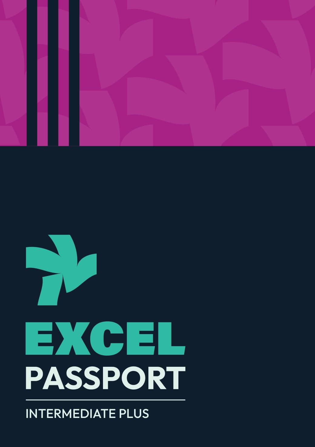 Excel Passport - Intermediate Plus