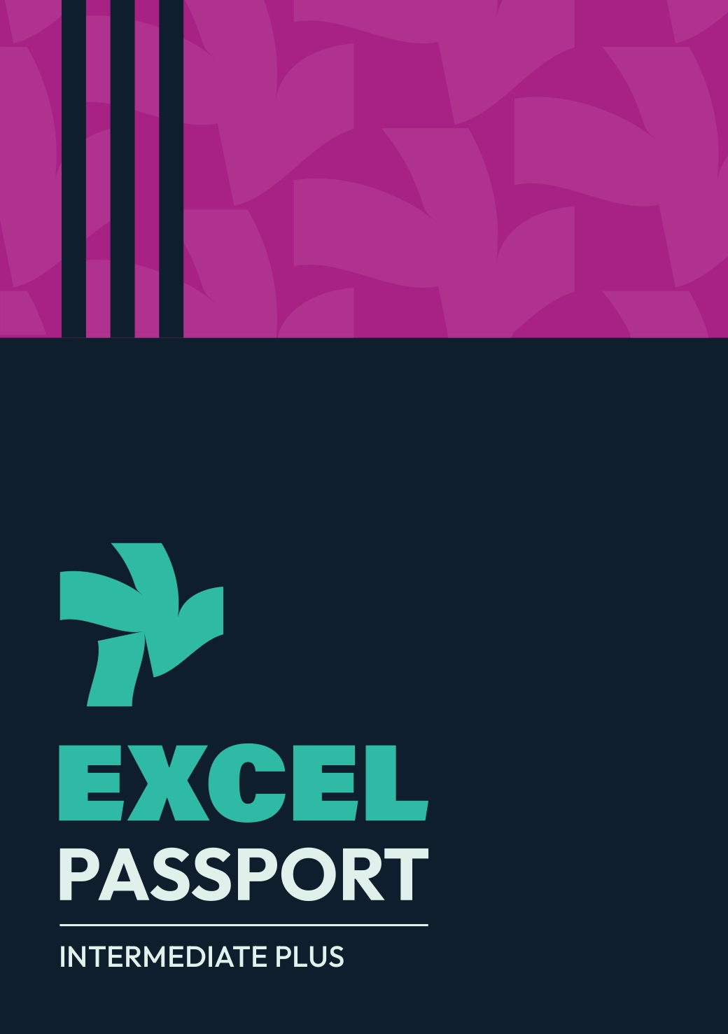 Excel Passport - Intermediate Plus