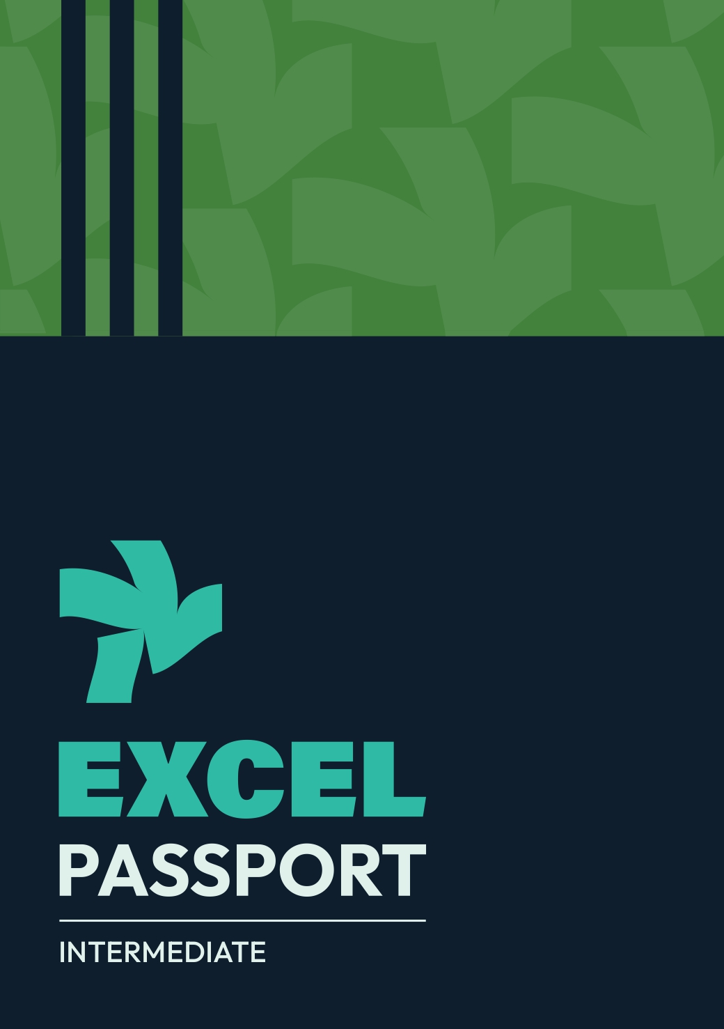 Excel Passport - Intermediate